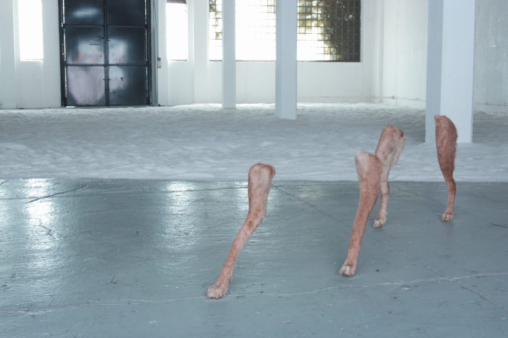 Eduardo Coimbra, Silent Steps, 2004. Installation view at Parasol unit, London, 2004. Photo: Tom Bauer
