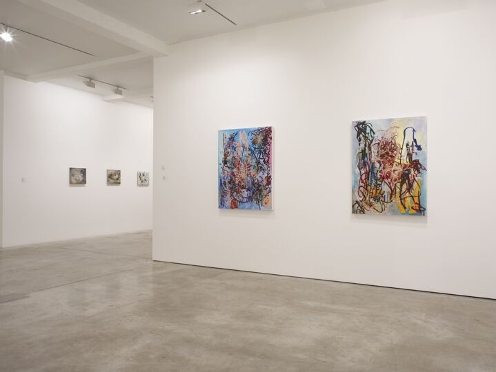 Katy Moran and Shaun McDowell, installation view at Parasol unit, London, 2009. Photography by Stephen White
